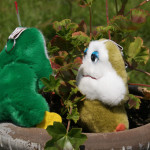 Peluche grenouille