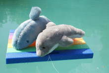 Peluche dauphin