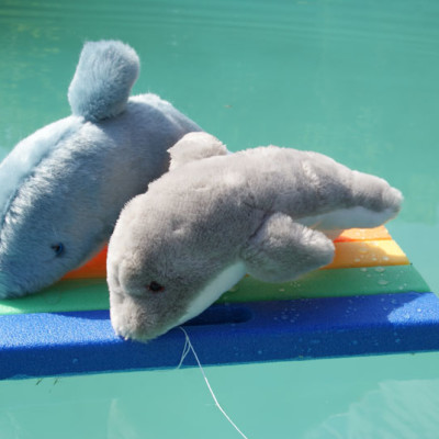 Peluche dauphin