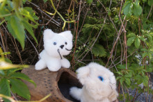Peluche petit chat