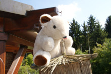 Peluche ours