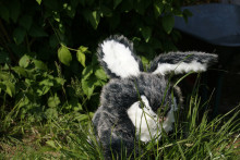 Peluche petit lapin