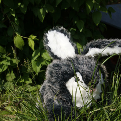 Peluche petit lapin