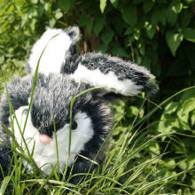 Peluche petit lapin