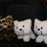 Peluche petit chat