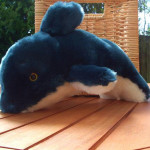 Peluche dauphin